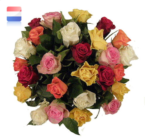 Boeket Colorfull Roses